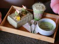 SAFARI Matcha Bar Khaoyai 
