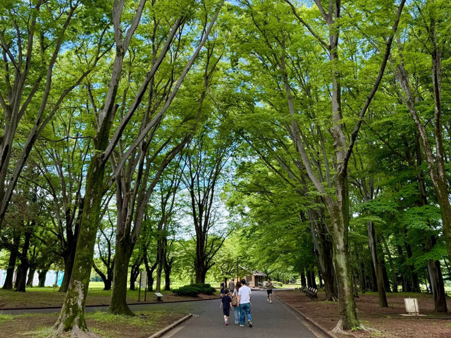 Tokyo Trip: Spend Half a Day "Wasting" Time at Yoyogi Park! 🌳☕
