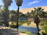 【Huacachina（ワカチナ）｜砂漠の真ん中に湧く神秘のオアシス】