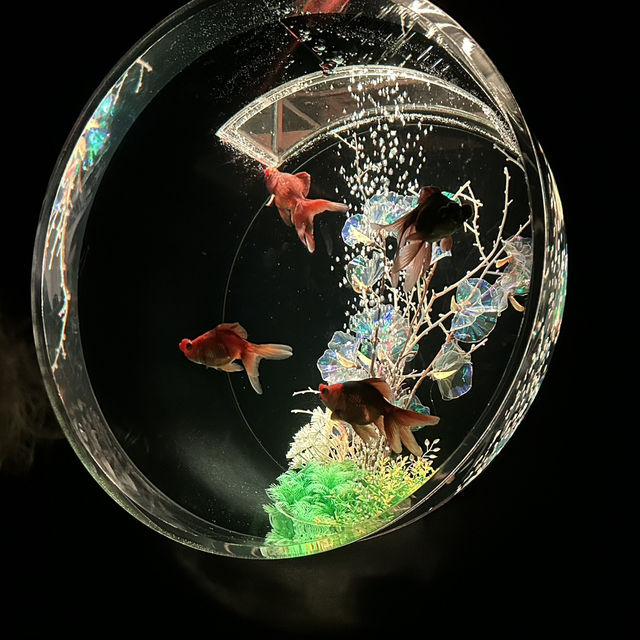 【銀座】 アートアクアリウム銀座美術館 GINZA