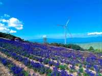 Wind, Hills, and Major Vibes at Gamaksan Wind Farm