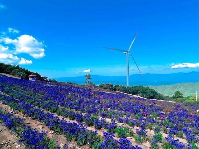 Wind, Hills, and Major Vibes at Gamaksan Wind Farm