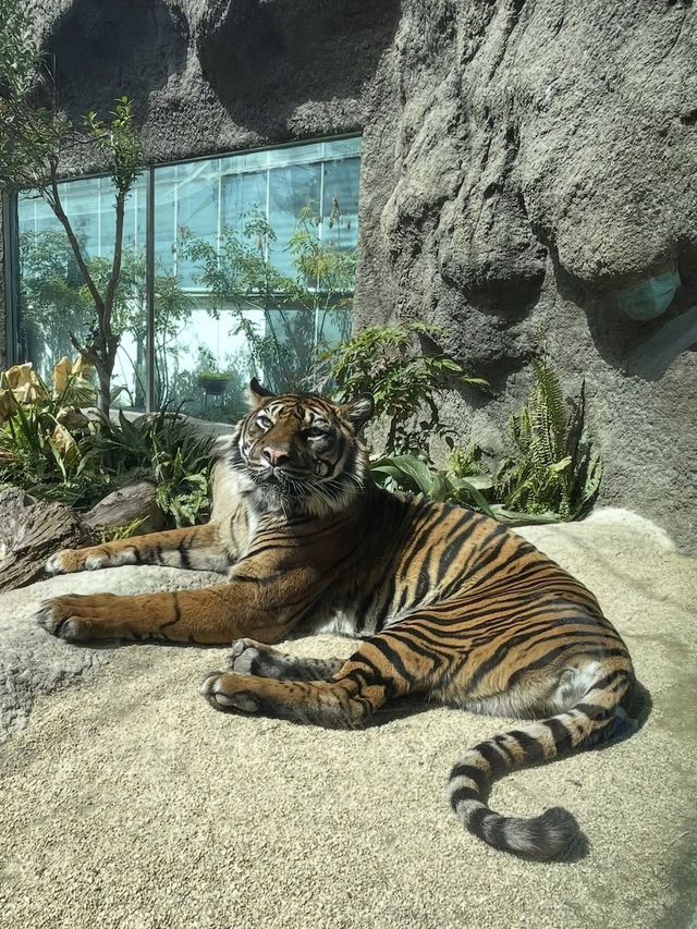 【神戸どうぶつ王国】動物との距離ゼロ！ふれあい満載の癒しテーマパーク🐾✨