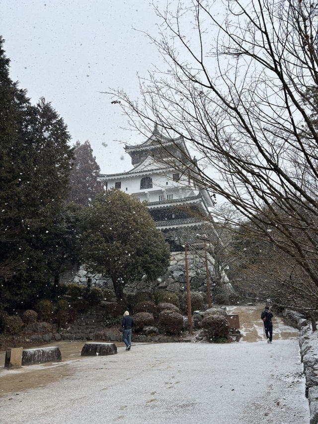 岩國城&錦帶橋