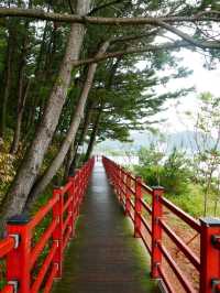 Deokbongsan Coastal Trail Walk 