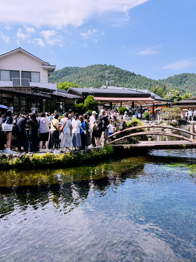 #trip富士山一日團