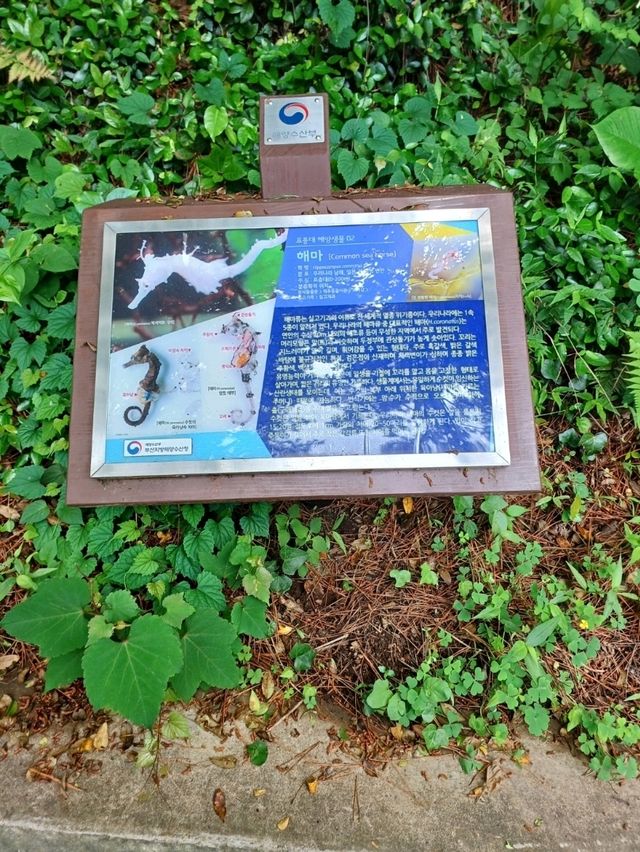 둘만 아는 풍경이 있는 연인의 하루
