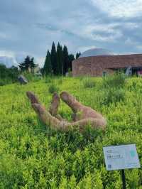 【アートと自然が融合する森🌳】滋賀県立陶芸の森で創造力を刺激する旅🖌️✨