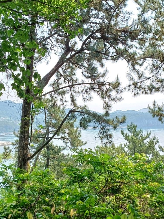 읽으며 걷는 야외 교과서, 공룡 정보 안내판 📚