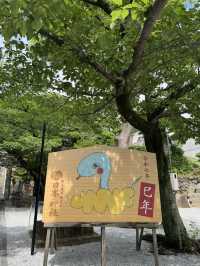【北九州観光】月に2回入れ替わる花手水に癒される❁⃘