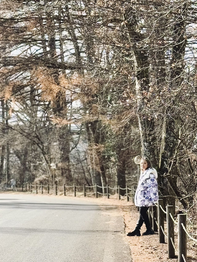 ลานสกี ใกล้ Tokyo ที่ Karuizawa