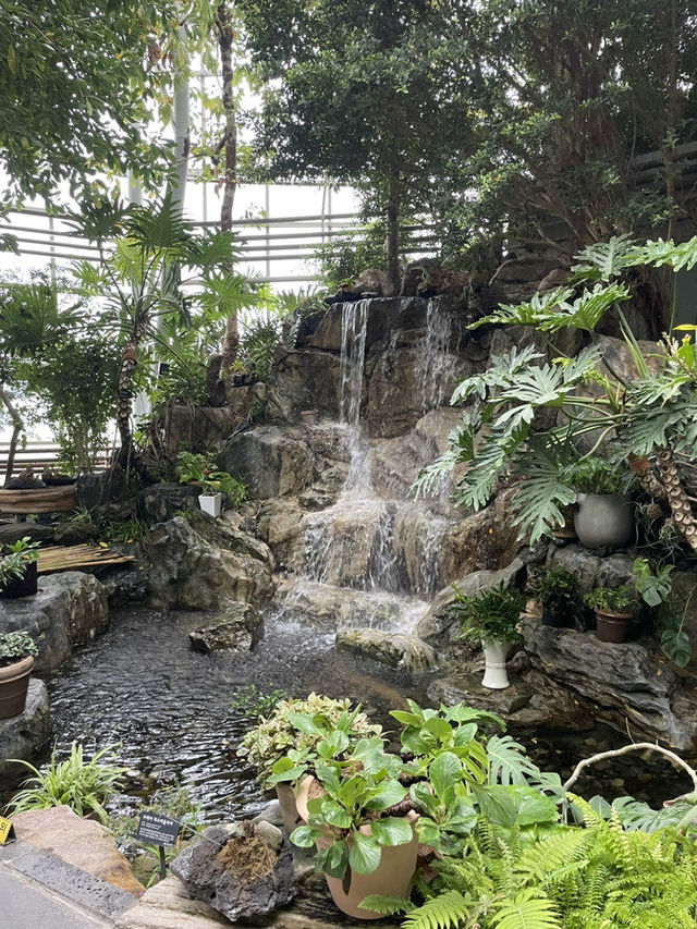 시원한 실내에서 이국적인 식물구경 어때요🌴