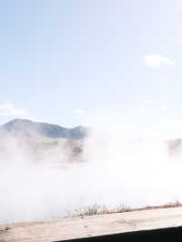 🌋「Pōhutu 間歇泉」必拍｜紐西蘭南半球最大水柱 • 火山地心呼喚！