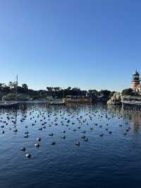 🪄【東京迪士尼海洋 Tokyo DisneySea｜2024年12月再訪體驗】🎠🌊🎆 ⭐️⭐️⭐️⭐️⭐️｜超值推薦・新園區必搶・貼心小貼士大放送！