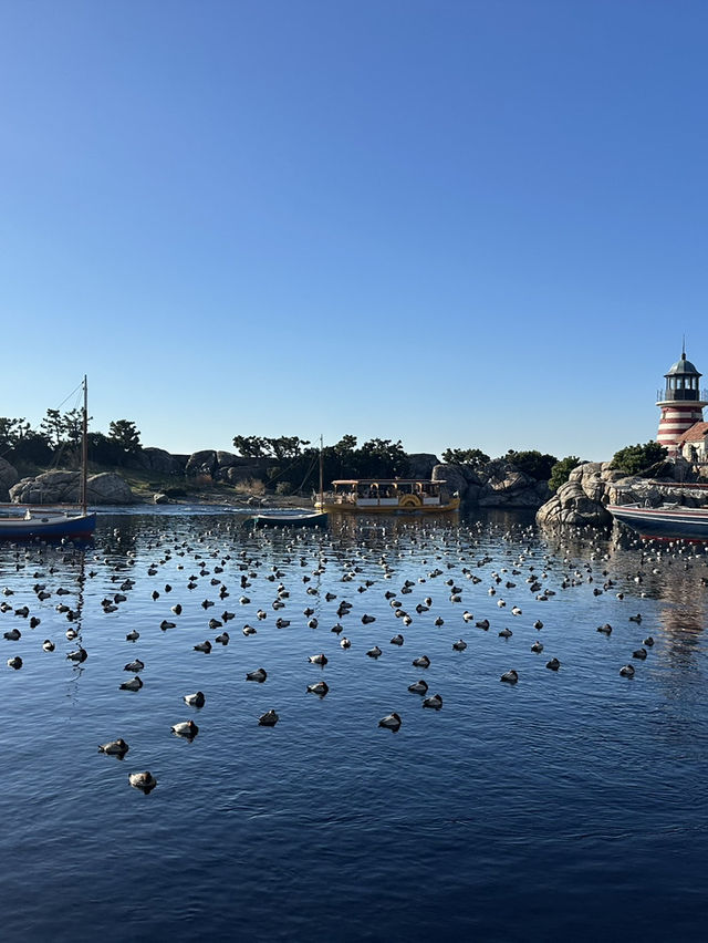 🪄【東京迪士尼海洋 Tokyo DisneySea｜2024年12月再訪體驗】🎠🌊🎆 ⭐️⭐️⭐️⭐️⭐️｜超值推薦・新園區必搶・貼心小貼士大放送！