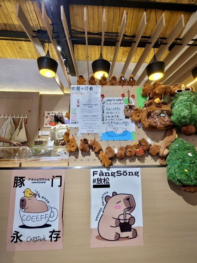 🐾도심 속 밀착 힐링! 칭따오 중산공원 실내 카피바라 카페 체험✨