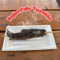 ร้านขายปลาย่าง Tsumikko ใกล้ Kegon Falls 🍡🐟