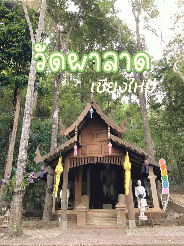 วัดผาลาด เชียงใหม่ วัดลับกลางป่า 🙏