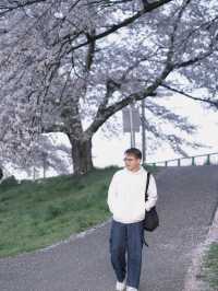 Funaoka Joshi Park – ซากุระริมรางที่สุดแสนโรแมนติก