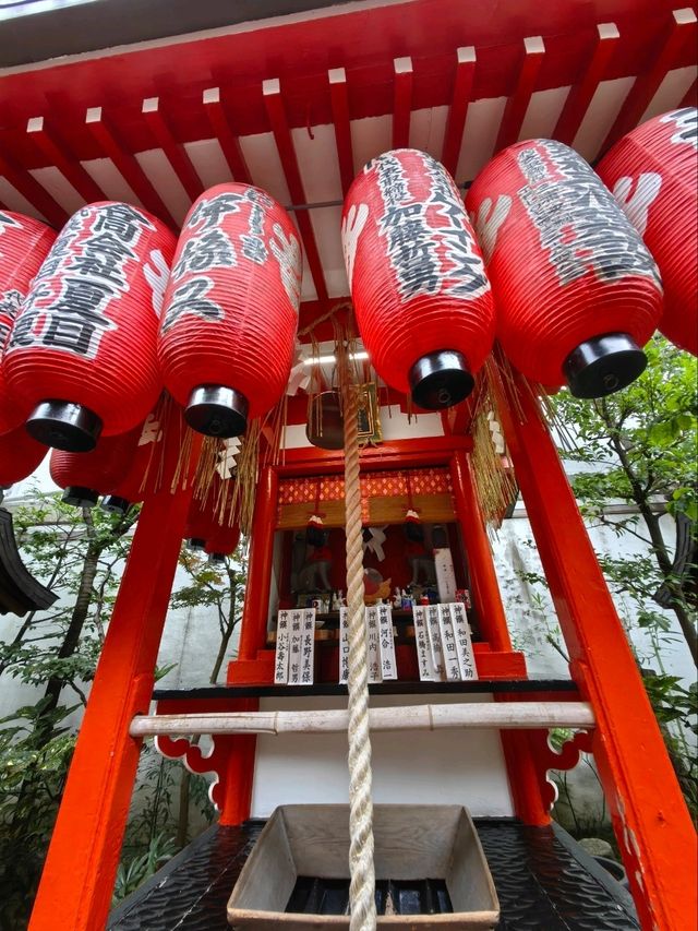 去京都摸下發達牛