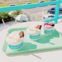 YangYang Favorite Gelato
