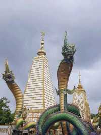 วัดพระธาตุหนองบัว