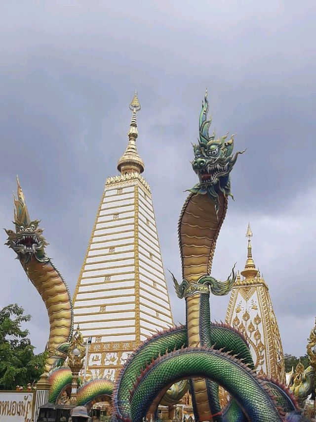 วัดพระธาตุหนองบัว