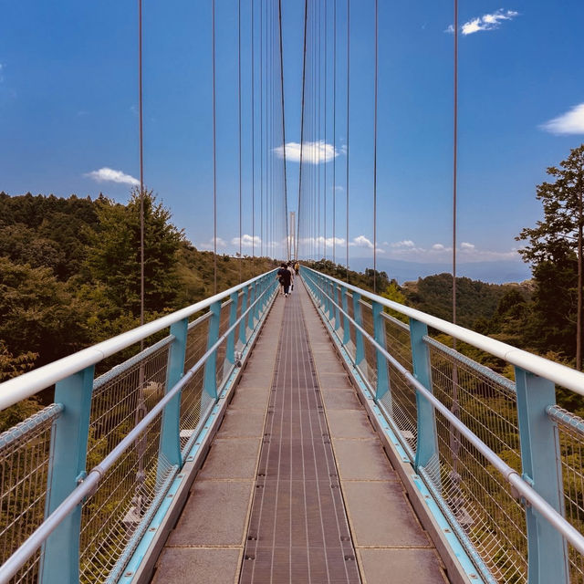 Mishima Skywalk Summer Adventure: Walking Above the Clouds