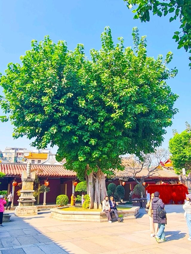 一个人慢游潮州：胃小但风景太大，食不尽、走不完