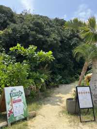 【宮古島カフェ】絶景を楽しめる宮古島のビーチテラスカフェ