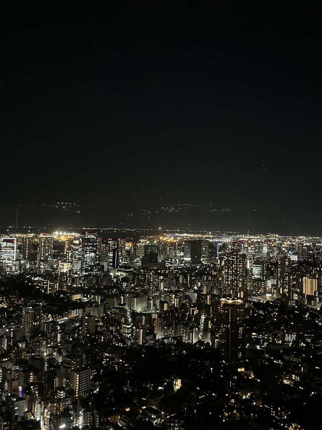 🌆 Tokyo in 3 Iconic Stops: Skyline, Loyalty & Organized Chaos 🐶✨