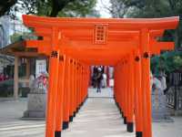 ศาลเจ้าสุมิโยชิ (Sumiyoshi Shrine)