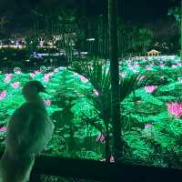 【️沖縄】 美らヤシパークオキナワ 東南植物楽園🌴