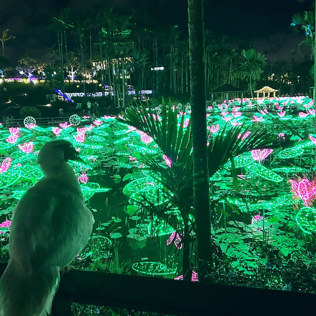 【️沖縄】 美らヤシパークオキナワ 東南植物楽園🌴