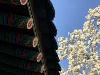 Spring around Suwon Hwaseong Fortress