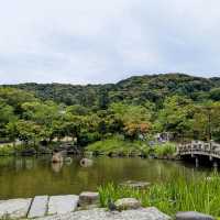 京都 | 圓山公園，市區中踏青賞花的休憩空間
