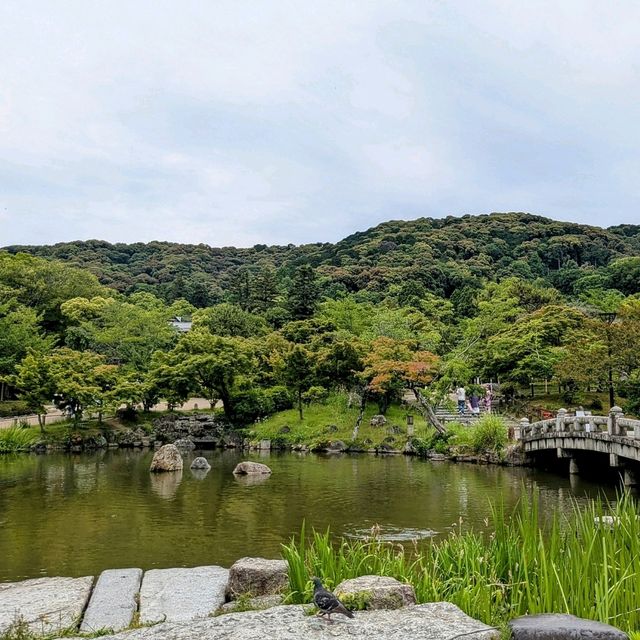 京都 | 圓山公園，市區中踏青賞花的休憩空間