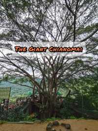 The Giant Chiangmai จ.เชียงใหม่