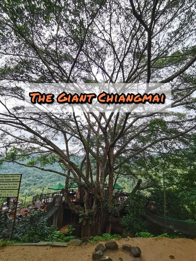 The Giant Chiangmai จ.เชียงใหม่