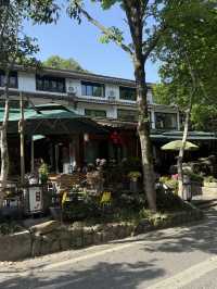 หมู่บ้านชาหลงจิ่ง (龙井村 / Longjing Village)