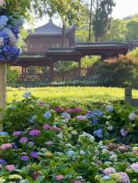 💐 โรแมนติกเฉพาะฤดูร้อนต้นปี