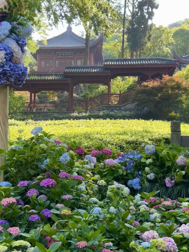 💐 โรแมนติกเฉพาะฤดูร้อนต้นปี