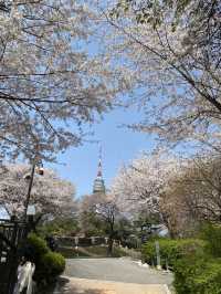 🌇 ชมวิวโซลแบบ 360 องศา – N Seoul Tower