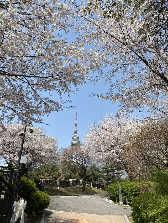 🌇 ชมวิวโซลแบบ 360 องศา – N Seoul Tower