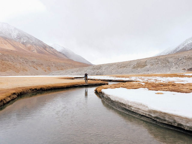 Along the way to PANGONG lake 🚌🌿❄️