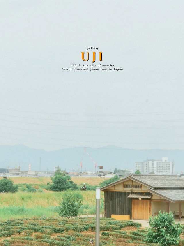 🌱 อูจิ..เมืองแห่งมัทฉะ