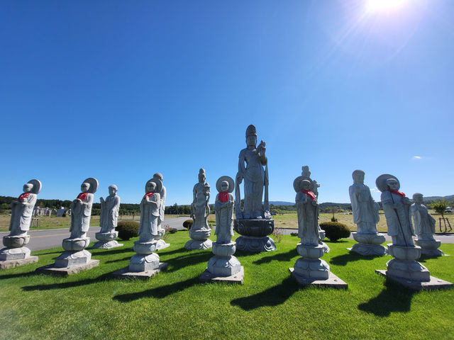 北海道真駒內靈園：薰衣草環繞的巨佛之境