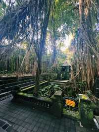 Nature, Myths & Monkeys: A Sacred Walk Through Ubud Monkey Forest