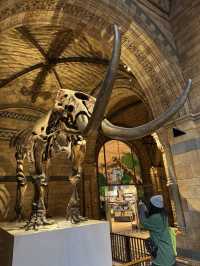 아이와 함께 가기 좋은 박물관 1위 – Natural History Museum