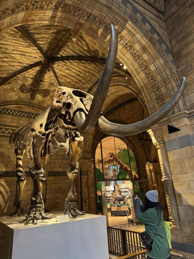 아이와 함께 가기 좋은 박물관 1위 – Natural History Museum